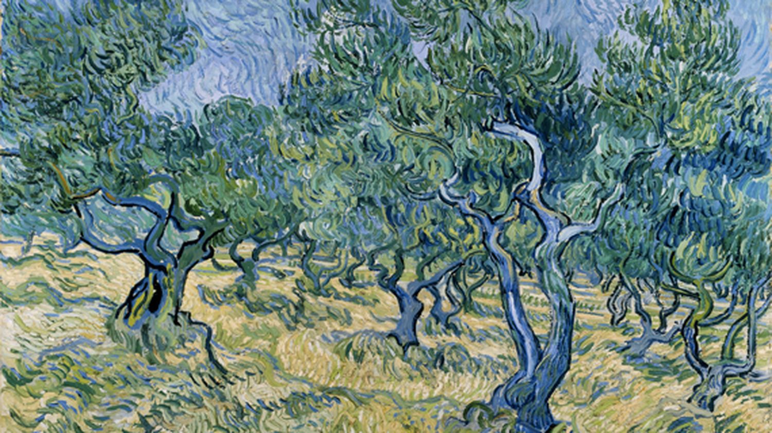 Van gogh sales cerisier japonais