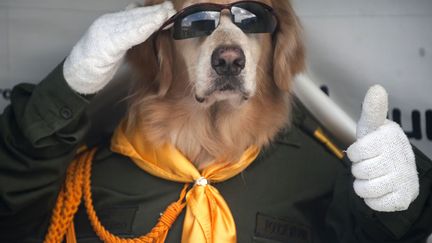 Un policier colombien et son chien font le show lors de l'ouverture de la 4e r&eacute;union des ministres de la s&eacute;curit&eacute; publique en Am&eacute;riques, Medellin (Colombien), le 21 novembre 2013. (RAUL ARBOLEDA / AFP)