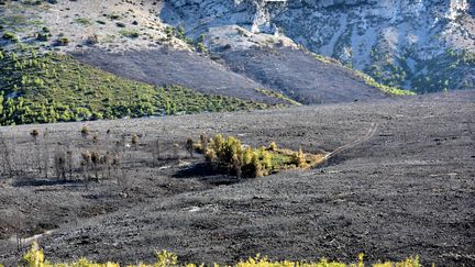 Les feux dans le secteur de Milhaud ont ravagé 14 hectares de garrigue. (Photo d'illustration&nbsp;Bouches-du-Rhône) (CITIZENSIDE/GEORGES ROBERT / CITIZENSIDE)