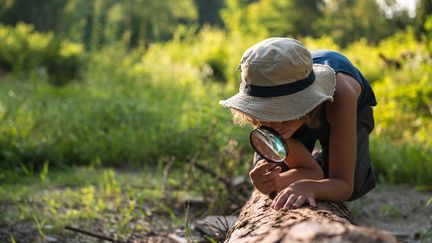 Une enfant observe les insectes dan la forêt au travers d'une loupe.&nbsp; (MONIKA HALINOWSKA / MOMENT RF / GETTY IMAGES)