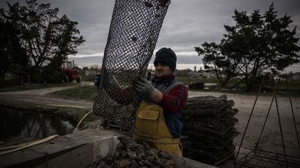 Un ostréiculteur à Chateau-d'Oléron, le 12 décembre 2022, en Charente-Maritime. (PHILIPPE LOPEZ / AFP)