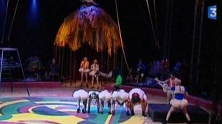 &quot;Les Nono font leur cirque&quot; en région parisienne
 (Culturebox)