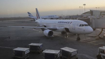 Un appareil de la compagnie Air France sur le tarmac de l'aéroport Ben-Gourion de Tel-Aviv (Israël), le 19 mai 2019. (SERGE ATTAL/ ONLYWORLD.NET / ONLY FRANCE / AFP)