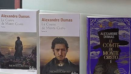 Les maisons d'édition surfent souvent sur les adaptations au cinéma pour attirer de nouveaux lecteurs. C'est le cas depuis la fin du mois de juin avec la sortie du film "Le Comte de Monte-Cristo", avec l'acteur Pierre Niney. (FRANCEINFO)