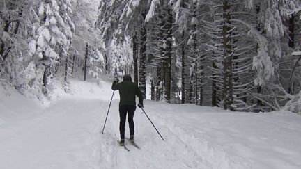 Tarn : à Picotalen, riverains et commerçants se réjouissent des chutes de neige (FRANCE 3)