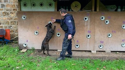 Le major Stéphane, de la brigade cynophile de la préfecture de police de Paris, avec Roxy son berger hollandais, dans leur centre d'entraînement au Bois de Vincennes à Paris. (AURELIEN THIRARD / FRANCEINFO / RADIO FRANCE)