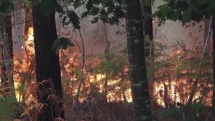 Incendies dans le Morbihan : les feux contenus après une reprise dans l'après-midi