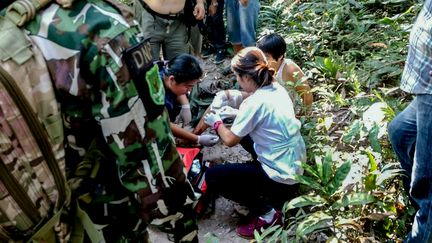 Une Française a été mordue par un crocodile dans le parc national de Khao Yai, en Thaïlande, le 1er janvier 2017. (KHAO YAI NATIONAL PARK / AFP)