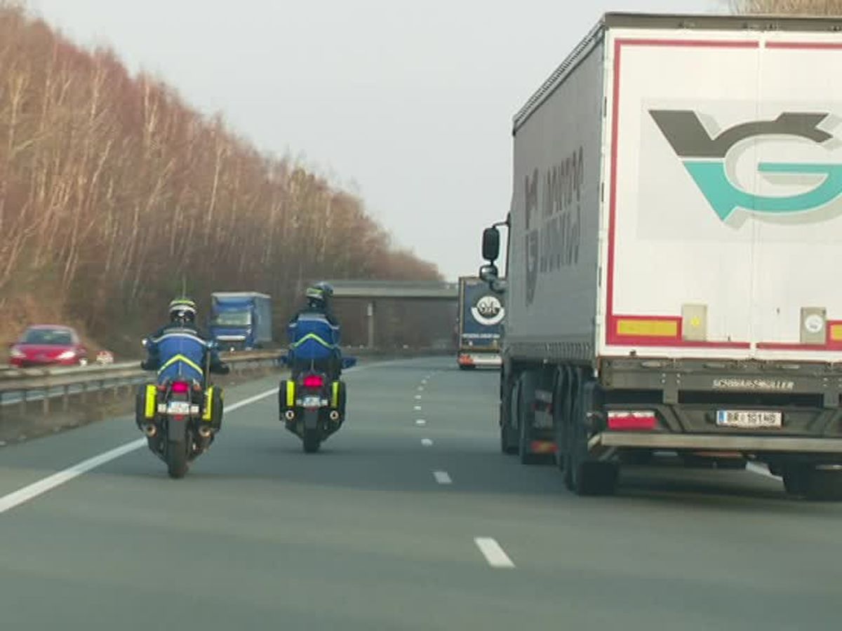 Nimbre de chauffeur routier en amerique du bird