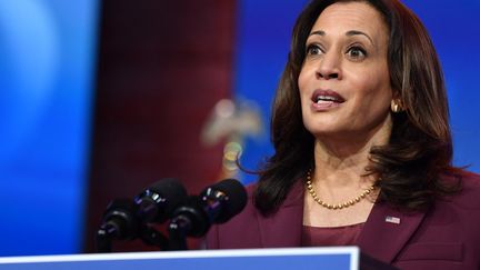 Kamala Harris lors d'une conférence de presse au Queen Theater de Wilmington, dans le Delaware (Etats-Unis), le 23 décembre 2020. (NICHOLAS KAMM / AFP)