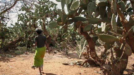 Selon les estimations, il y aurait 5000 nouvelles victimes de fistules&nbsp;obstétricales chaque année à Madagascar (illustration) (RIJASOLO / AFP)