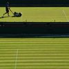 La tonte et le marquage des lignes sont réalisés chaque jour sur tous les terrains, pendant le tournoi de Wimbledon. (GLYN KIRK / AFP)