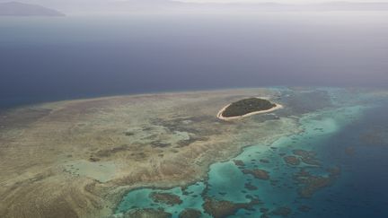 Une vue de la Grande barrière de corail australienne, en octobre 2014 vers Cairns. (LOUISE MURRAY / ROBERT HARDING PREMIUM / AFP)