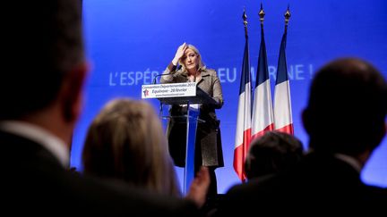 &nbsp; (Marine Le Pen en meeting pour les départementales 2015, à Paris. © MaxPPP)