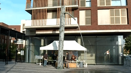 L'arbre-fontaine du sculpteur Didier Marcel, 132e œuvre d’art contemporain installée dans les rues de Vitry-sur-Seine.
 (Culturebox / Capture d&#039;écran)