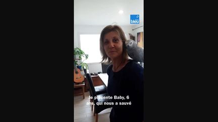 Capture d'écran d'une vidéo de France Bleu Breizh Izel avec Virginie, la propriétaire de Baby. Elle explique comment son perroquet, son "héros" lui a sauvé la vie dans la nuit du 4 au 5 novembre 2023. (CAPTURE D'ECRAN)