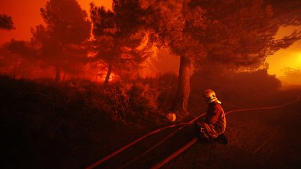 Un pompier lutte contre les flammes, le 11 août 2016, dans le nord de Marseille (Bouches-du-Rhône). (MAXPPP)