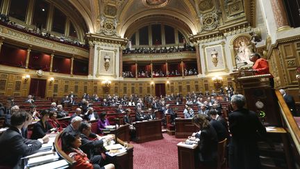 D&eacute;but de l'examen du projet de loi sur le mariage pour tous au S&eacute;nat, jeudi 4 avril 2013. (CHARLES PLATIAU / REUTERS)