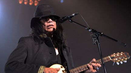 Sixto Rodriguez, en concert au Zénith de Paris, le 4 juin 2013. (PIERRE ANDRIEU / AFP)