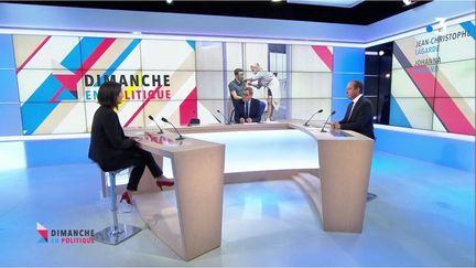 30 mai 2021 (CAPTURE D'ECRAN "DIMANCHE EN POLITIQUE" / FRANCE 3)