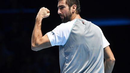 Le Croathe Marin Cilic (NEIL HALL / EPA)