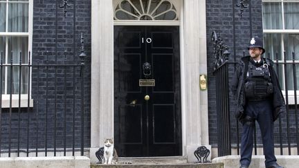 Le 10 Downing Street, résidence des Premiers ministres britanniques (JUSTIN TALLIS / AFP)