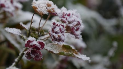 Météo : le Nord touché par un coup de froid et de la neige