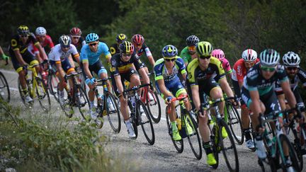 Image du peloton pendant la 14e étape du 105e Tour de France entre&nbsp;Saint-Paul-Trois-Châteaux (Drôme) et Mende (Lozère), le 21 juillet 2018. (DAVID STOCKMAN/BELGA MAG)