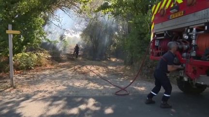 Incendies dans le Morbihan : des départs de feu qui intriguent les enquêteurs