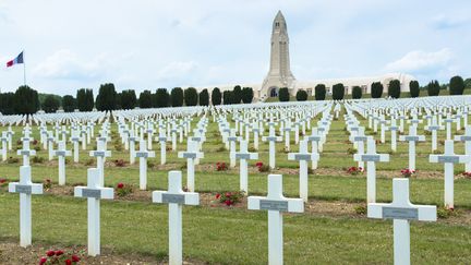 Le cimetière de Fleury-devant-Douaumont (Meuse), près de Verdun, en juillet 2013. (TIM GRAHAM / ROBERT HARDING HERITAGE / AFP)