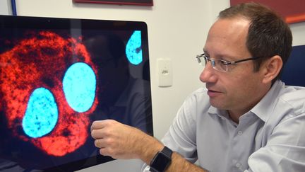 Le chercheur&nbsp;Stevens Rehen explique comment le virus Zika peut attaquer les neurones d'un être humain, à Rio de Janeiro (Brésil), le 9 mars 2016. (GEORG ISMAR / DPA / AFP)