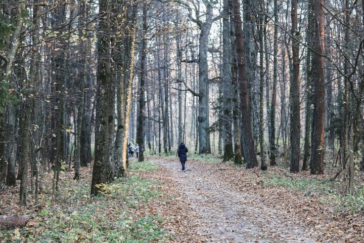 Face à la crise humanitaire, certains habitants de la zone frontière entre Pologne et Biélorussie sillonnent les forêts voisines pour porter assistance aux demandeurs d'asile.&nbsp; (MILAD AMIN / RADIO FRANCE)