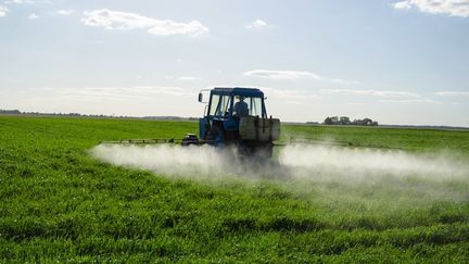 Pour l'Inserm, "il semble exister une association positive entre exposition professionnelle à des pesticides et certaines pathologies chez l’adulte : la maladie de Parkinson, le cancer de la prostate et certains cancers hématopoïétiques". (Photo &copy; Sauletas - Fotolia)