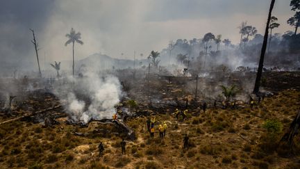 Les ravages des incendies photographiés dans la ville de Novo Progresso, dans l'état de Para, dans le Nord du Brésil, le 3 septembre 2019.&nbsp; (GUSTAVO BASSO / NURPHOTO / AFP)