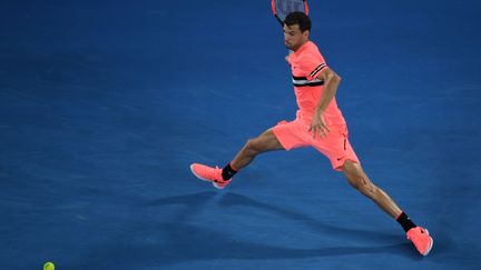 Grigor Dimitrov en position acrobatique  (WILLIAM WEST / AFP)