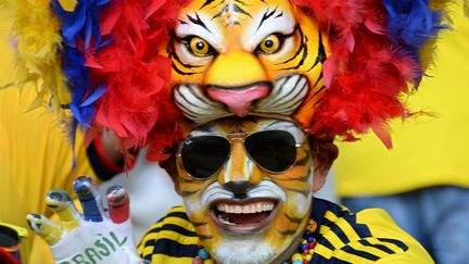 Un supporter colombien avant le d&eacute;but du match qualificatif pour la coupe du monde de football 2014 opposant son &eacute;quipe &agrave; l'Equateur &agrave; Barranquilla (Colombie), le 6 septembre 2013. (EITAN ABRAMOVICH / AFP)