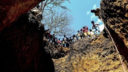 Sous la canopée de la forêt tropicale, ils se faufilent un à un dans les galeries puis en ressortent, essoufflés, les bras chargés de sacs d'une terre sablonneuse dont ils espèrent extraire les quelques éclats de pierres précieuses qui leur permettront de survivre. La découverte fortuite il y a dix ans des premiers rubis a donné la fièvre à toute la région. Des milliers de personnes y ont accouru pour arracher quelques gemmes avant que le gouvernement mozambicain ne s'en mêle. En 2011, il a accordé une concession de 36.000 hectares à la société Montepuez Ruby Mining (MRM), détenue aux trois-quarts par le groupe britannique Gemfields et pour le reste par un général bien en cour à Maputo. Aux yeux de la loi, MRM est la seule autorisée à extraire et à vendre les rubis de Montepuez, un commerce qui lui a officiellement rapporté 350 millions d'euros depuis 2012. L'arrivée du géant britannique, de ses barbelés et de ses agents de sécurité armés n'a pas fait partir les «garimpeiros». La police, accusée par les mineurs de brutalités et même d'exécutions sommaires, n’a pas réussi non plus à les décourager. (EMIDIO JOSINE / AFP)