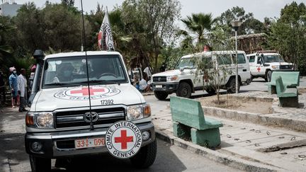 Des ambulances de la croix-rouge à Mekele en Ethiopie le 24 juin 2021.&nbsp; (YASUYOSHI CHIBA / AFP)