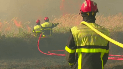 Pyrénées-Orientales : deux incendies déclarés dans l'après-midi, la situation sous contrôle (France 3)