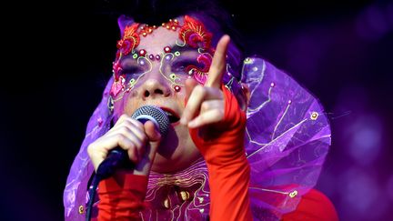 Björk en concert à Berlin, le 2 août 2015
 (Britta Pedersen / dpa / picture-alliance / MaxPPP)