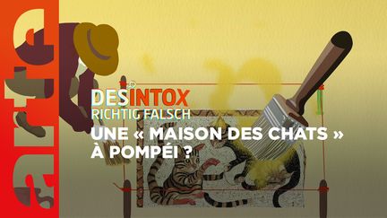 Désintox. Non, il n'y a pas de « maison des chats » retrouvée par des archéologues à Pompéi (ARTE/2P2L)