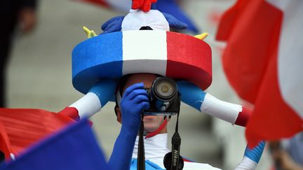 Un supporteur des Bleus lors du match France - Roumanie. (FRANCK FIFE / AFP)