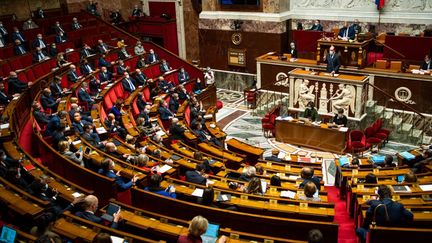 Le Premier ministre, Jean Castex, s'adresse aux députés dans l'hémicycle de l'Assemblée nationale, le 13 avril 2021. (XOSE BOUZAS / HANS LUCAS / AFP)