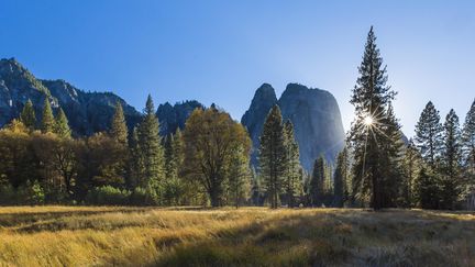 Le parc national du Yosemite (Californie, Etats-Unis), le 25 février 2016.&nbsp; (MAXPPP)