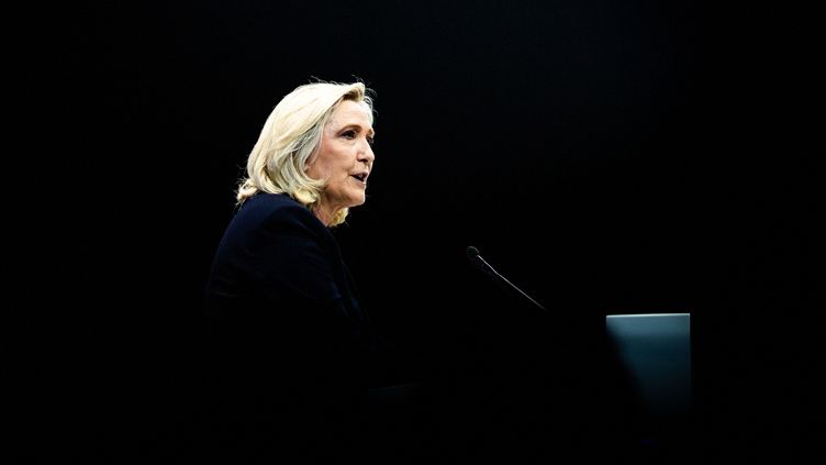 Marine Le Pen speaks to her supporters during a meeting in Perpignan (Pyrénées-Orientales), April 7, 2022. (JC MILHET / HANS LUCAS / AFP)