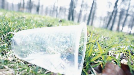 La collecte des déchets était organisée, dimanche 14 janvier, sur les bords d'Auzette. (JAMES HARDY / MAXPPP)