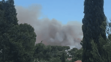 Vue depuis les collines du 12e arrondissement, à Marseille (Bouches-du-Rhône), le 24 juillet 2017. (PHILIPPE BOCCARA / RADIO FRANCE)