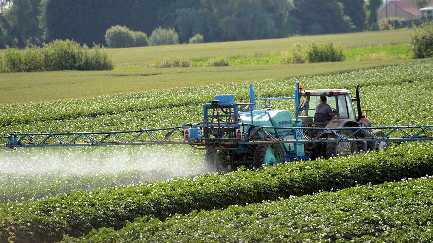 pesticides-de-plus-en-plus-de-jardiniers-sensibilis-s