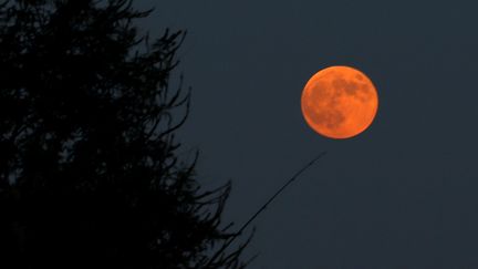 Le spectacle peut se voir à l'oeil nu, comme ici à Antalya (Turquie), sans aucun danger contrairement aux éclipses de Soleil. (MUSTAFA CIFTCI / ANADOLU AGENCY / AFP)