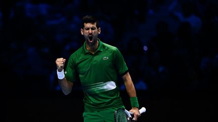 Le Serbe Novak Djokovic lors de sa victoire contre Casper Ruud en finale du Masters, à Turin, le 20 novembre 2022. (MARCO BERTORELLO / AFP)